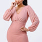 Lux Mesh Layered Lining V Neck Bubble Slv Bodycon Dress