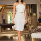 Off Shoulder Fashion Dress